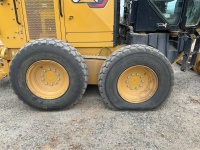 cat-b5400786-10236151