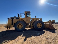 cat-bcr00217-4451718