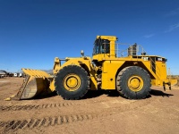 cat-bcr00217-4451718