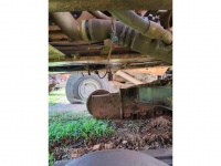 cat-sp910173-10105012