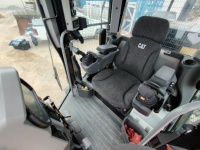 cat-b5400683-10237598