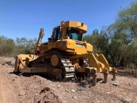 cat-gct03174-10074082