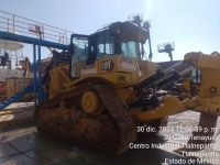 cat-mb800826-10184167