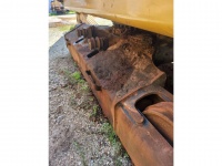 cat-sp910173-10105012