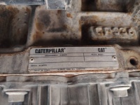 cat-h9p00236-10209663