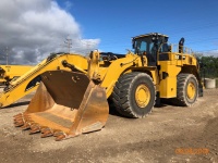 cat-b5400683-10237598