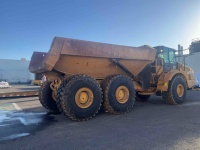 cat-3f600512-10268752